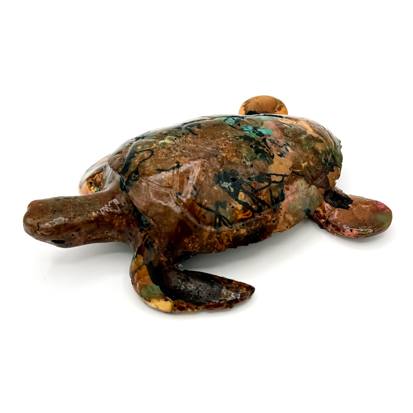 Tommy the recycled Turtle